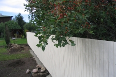 lippaed10