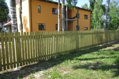 lippaed31