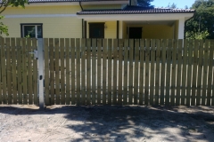 tiibvaravad6